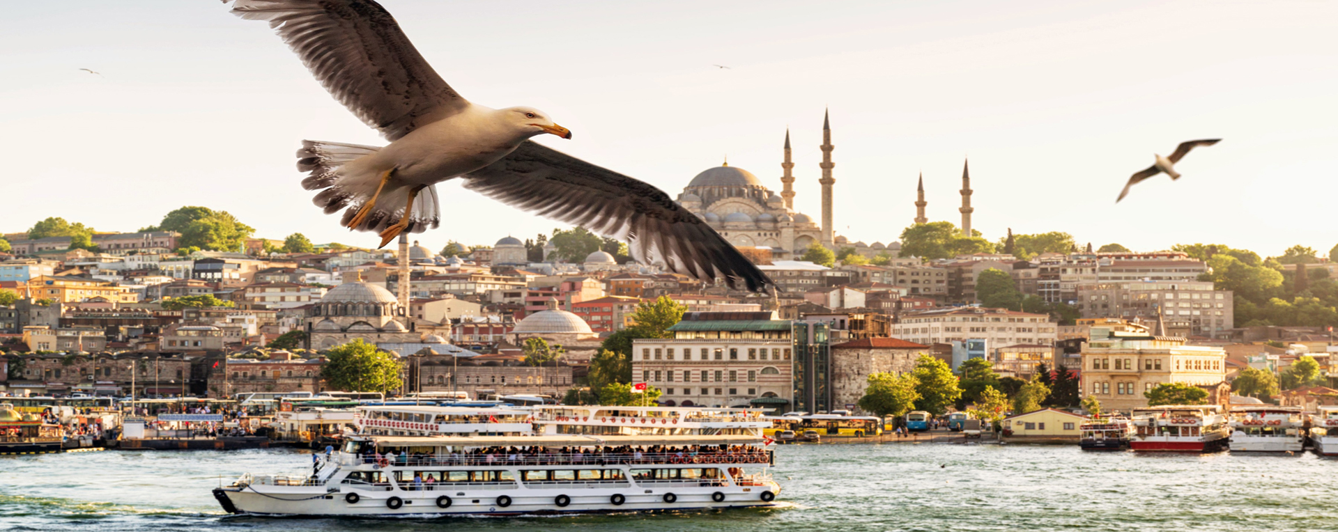 Holiday Travel & Tours